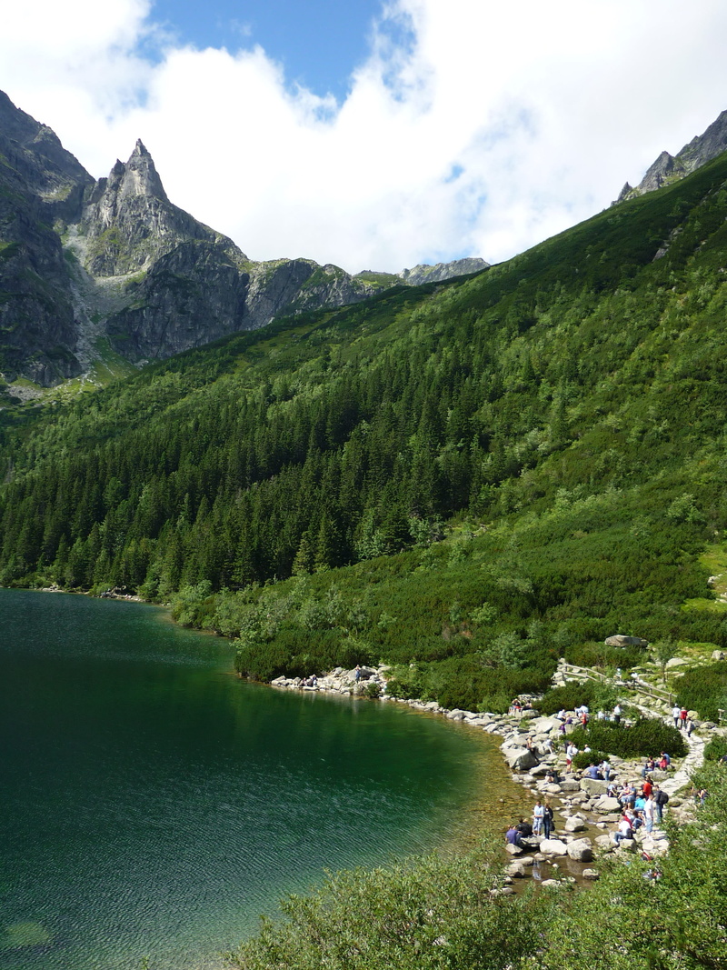 Mountains, tranquility, green color, sky, mountain, day, environment, polish tatras, mountain range, beauty in nature, 2K, scenics, tree, outdoors, tranquil scene