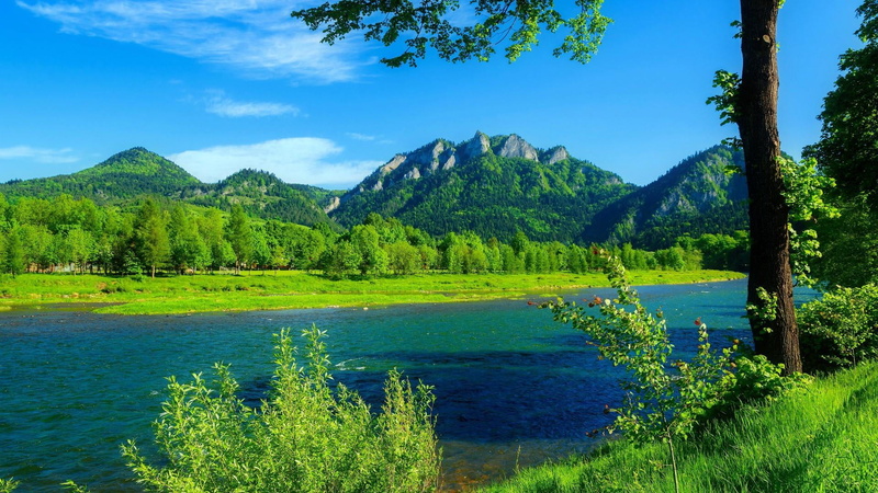 lake, dunajec, slovakia-poland, green color, blue, land, nature, national park, growth, scenics - nature, mountain, day, plant, tranquility, idyllic, tranquil scene
