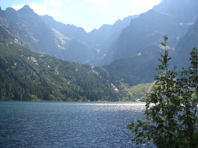 view, growth, tranquil scene, poland, tranquility, mountain, waterfront, water, plant, mountains, outdoors, morskie oko, no people, non-urban scene, nature
