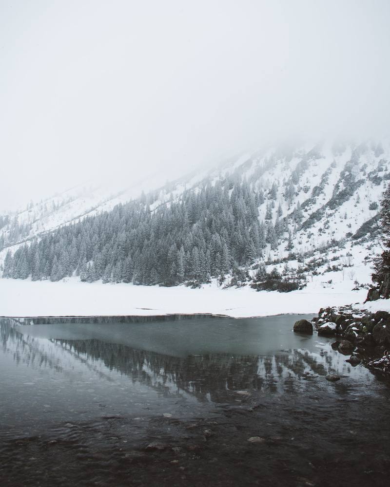 forest, no people, mountain, land, woods, ice, scenery, lake, beauty in nature, photo, landscape, snow, snowcapped mountain, 4K, mountains, plant, abies