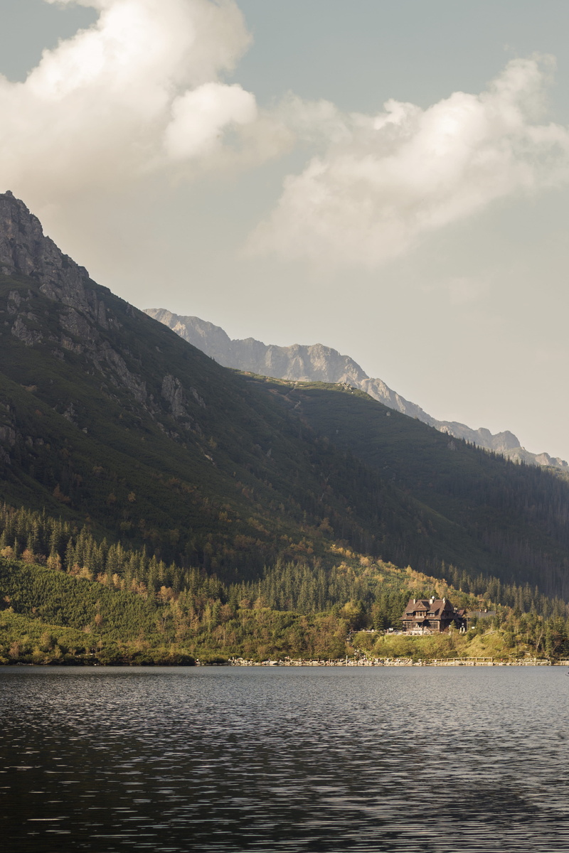 beauty in nature, morskie oko, forest, abies, ice, mountain, tree, body, water, view into land, fir, cloud - sky, view, nature, scenics - nature, shelter