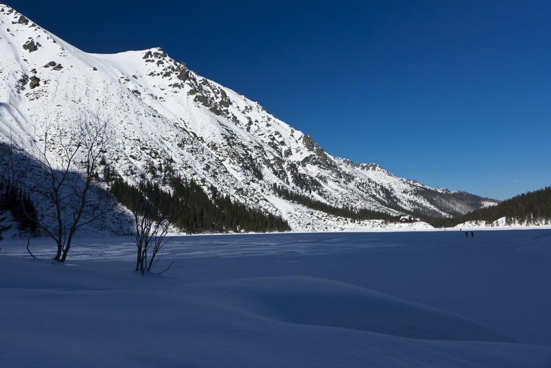 environment, mountain, 2K, tree, tranquil scene, white color, blue, beauty in nature, frozen, sky, pine woodland, woodland, snow, no people, outdoors