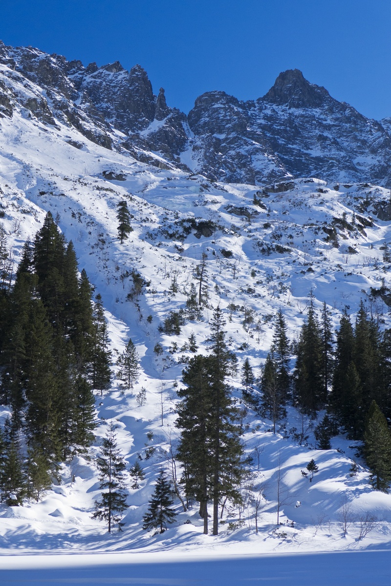 sky, environment, tranquil scene, tree, tatry, mountains, mountain, snow, view, no people, mountain peak, tranquility, winter, clear sky, plant, non-urban scene