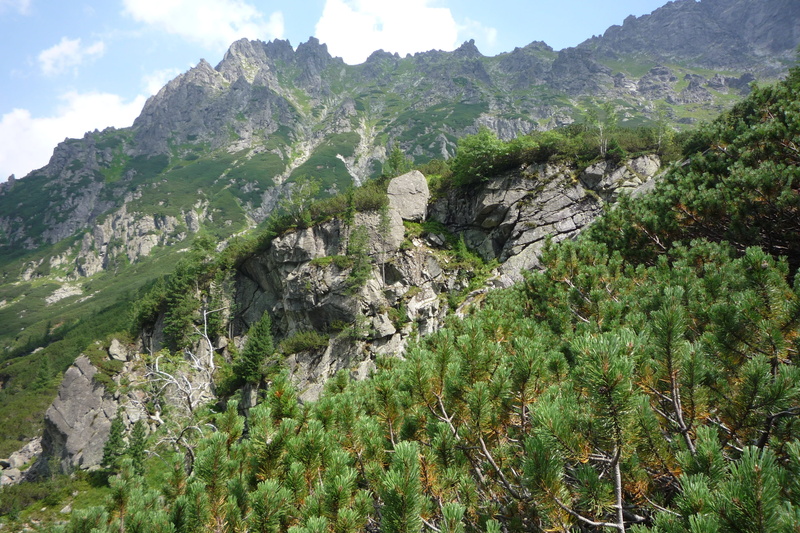 environment, top, a view of the mountains, 2K, mountain, the national park, outdoors, mountains, view, polish tatras, non-urban scene, tree, formation