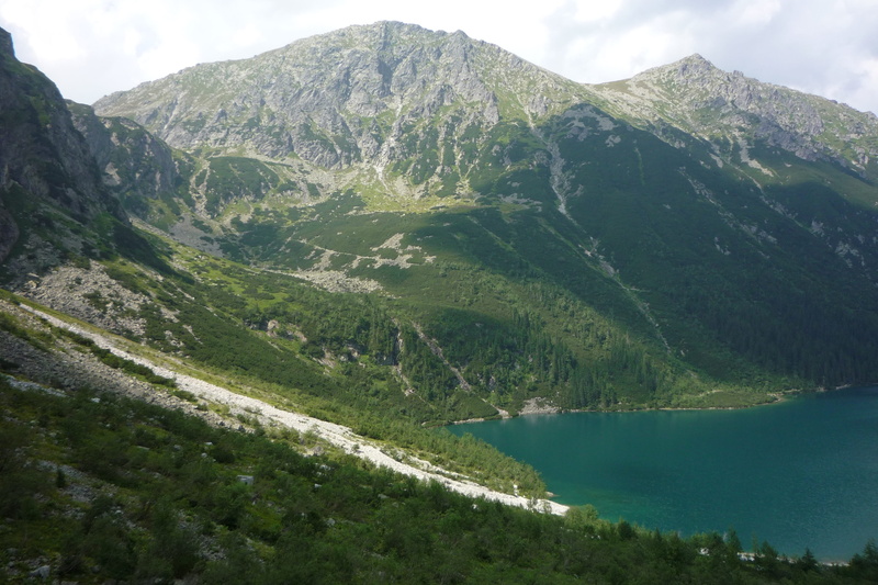 mountain, top, green color, a view of the mountains, scenics - nature, mountains, day, tranquil scene, tranquility, tatry, view, 2K, plant, the national park