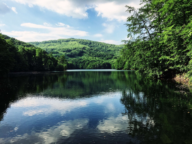 waterfront, non-urban scene, beauty in nature, growth, 4K, sky, reflection lake, reflection, nature, iphone 6s, cloud - sky, idyllic, morsk oko, tranquil scene