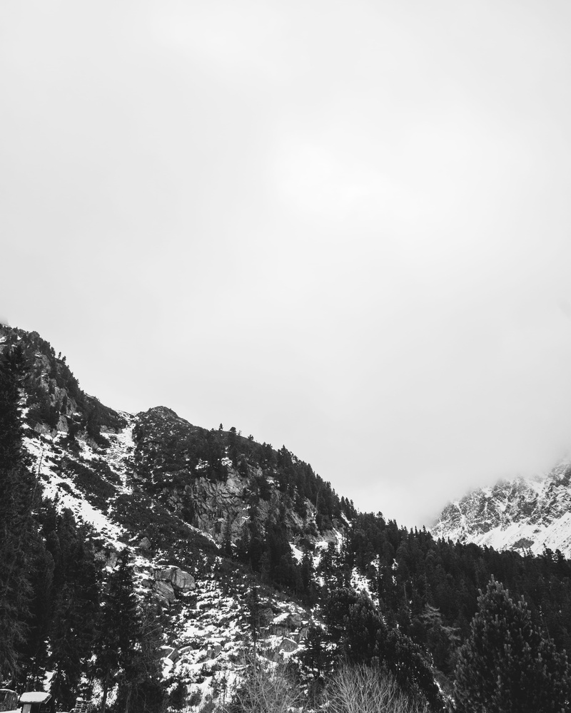 forest, forrest, outdoors, mountain, tree, scenics - nature, fog, snow, slovakia, popradské pleso, low angle view, environment, vysoké tatry, couds, landscape