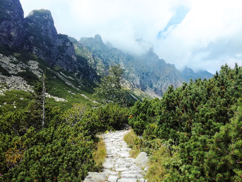 sky, growth, panorama, tatras, slovakia, rock, landscape, 4K, green color, land, environment, tree, flowing, view, non-urban scene, tranquil scene, tranquility