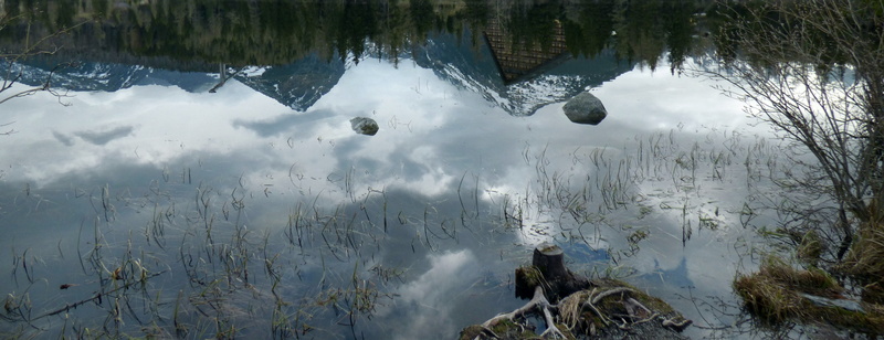 outdoors, tree, cold temperature, slovakia, mountains, no people, day, reflection, winter, scenics - nature, forest, lake, nature, plant, 4K, tatry, strba tarn