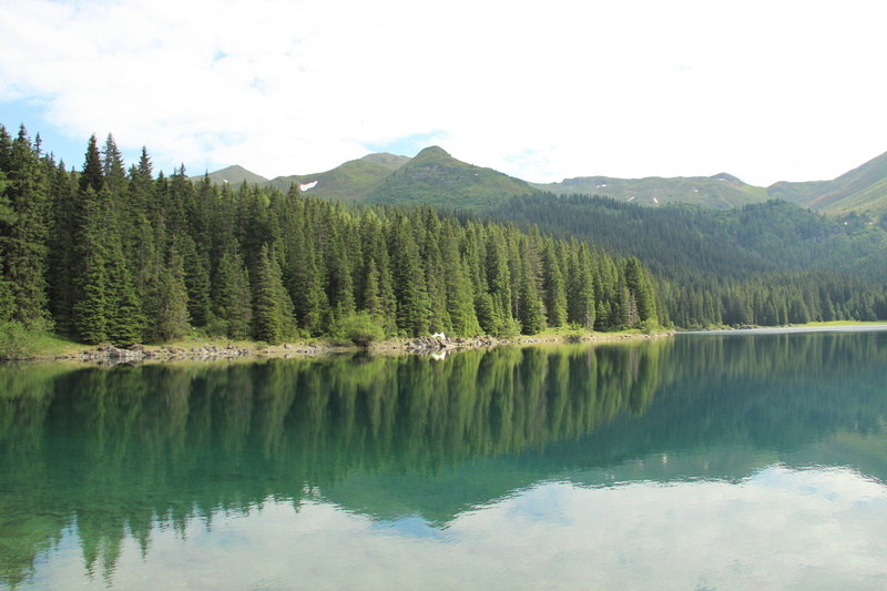 growth, beauty in nature, no people, water, austria, outdoors, country, non-urban scene, pleso, day, lake, nature, plant, idyllic, reflection lake, tree