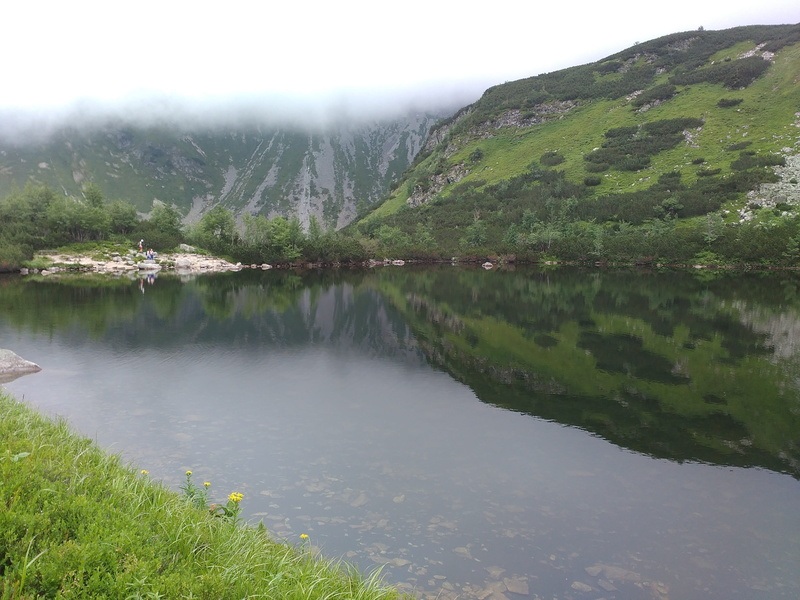 environment, tranquility, tree, no people, rocks, outdoors, mountain, reflection, idyllic, mountains, fog, non-urban scene, scenery, growth, green color