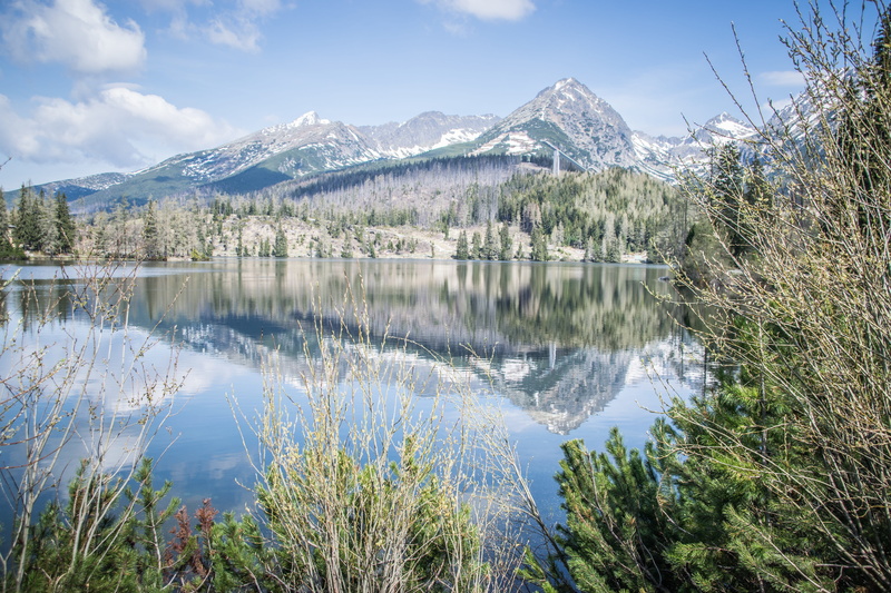 tree, water, lake, beauty in nature, 5K, panorama, winter, no people, snowcapped mountain, tranquility, scenics - nature, landscape, mountain range, cold temperature