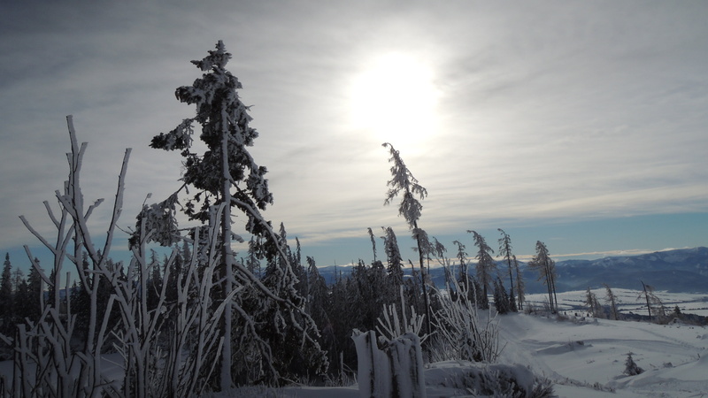 landscape, sun, nature, scenics - nature, winter, beauty in nature, slovakia, no people, 4K, high tatras, tranquility, snow, tree, sky, cloud - sky, pleso
