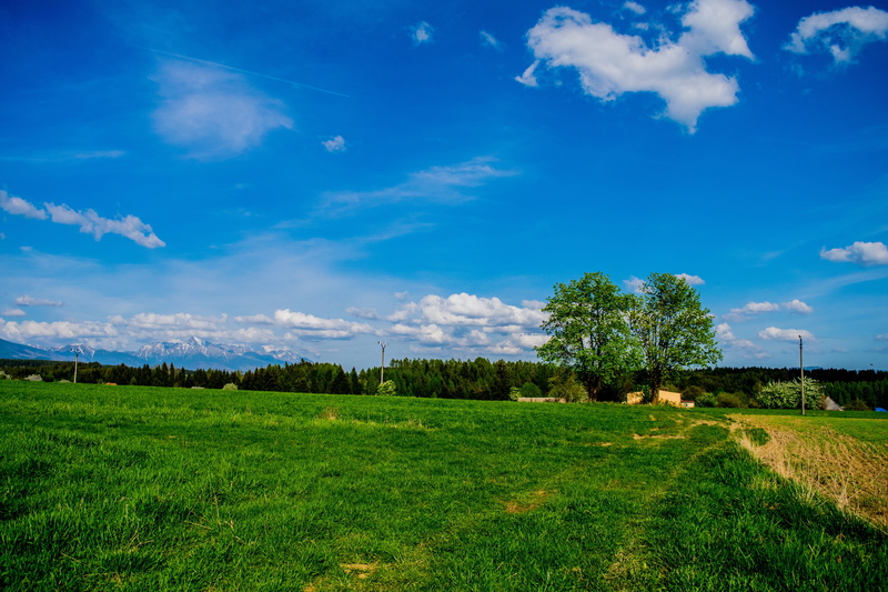 clouds, tranquility, outdoors, no people, cloud - sky, sky, plantation, krivan, grass, landscape, meadow, field, green color, beauty in nature, growth