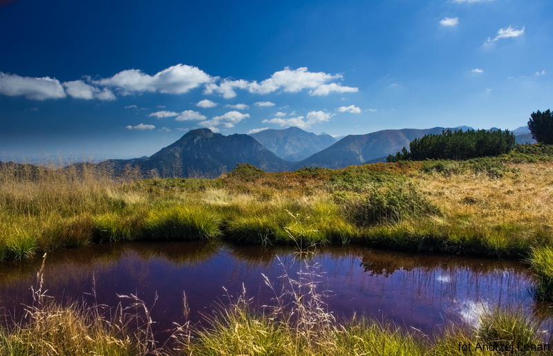 scenics, landscape photography, green, photography, landscape, water, nature, lake, mountain, outdoors, 720P, reflection, Tatry, surrounded, summer, forest