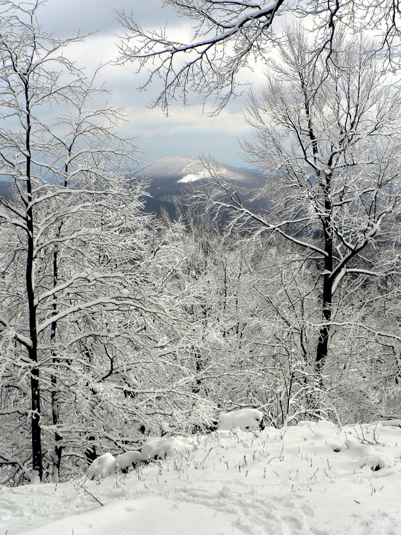 beauty In Nature, Winter, nature, no People, frozen, 1080P, tranquil scene, Forest, mountain, covering, scenics - nature, snow, snowcapped mountain, Slovakia