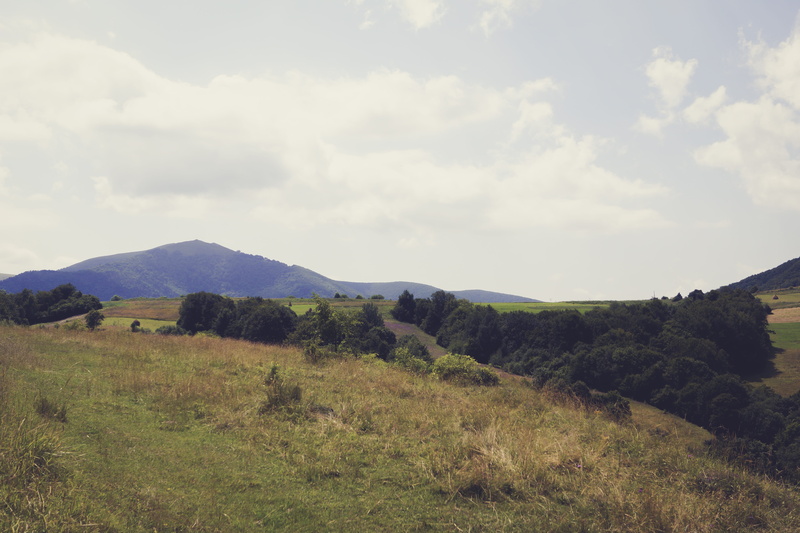 5K, nature, outdoors, karpaty, mountain, day, mountain range, land, tree, grass, sky, mizhhirskyi district, beauty in nature, cloud - sky, tranquil scene