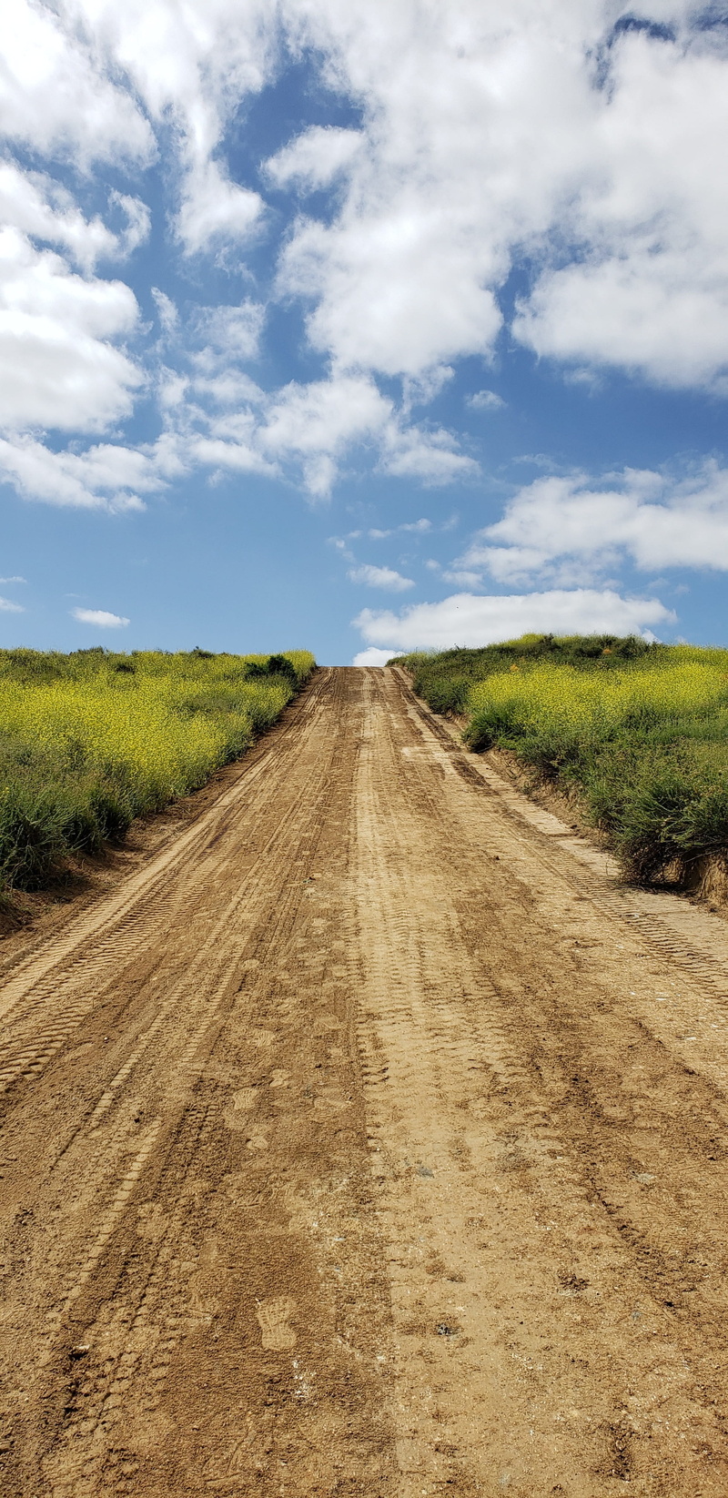 the way forward, field, road, tranquility, land, moving ahead, keep moving, transportation, dirt, future, nature, uphill, vanishing point, spirit, landscape