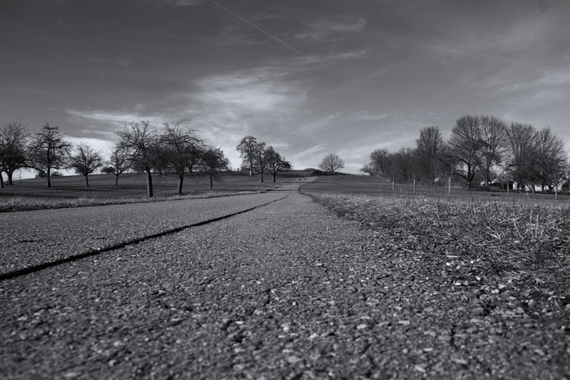 landscape, field, gravel, monochrome, vanishing point, dirt road, plant, no people, asphalt, environment, tranquil scene, tarmac, surface level, direction