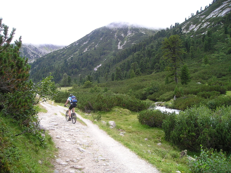 forest, footpath, adult, recreational Pursuit, color Image, leisure activity, bicycle, speed, Transalp, sport, activity, mode of transportation, road, summer