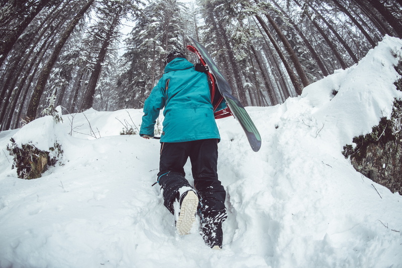 photo, trekking, outdoors, covered, rear view, full length, 5K, clothing, skis, snow, day, plant, nature, real people, sport, man, climbing, woodland