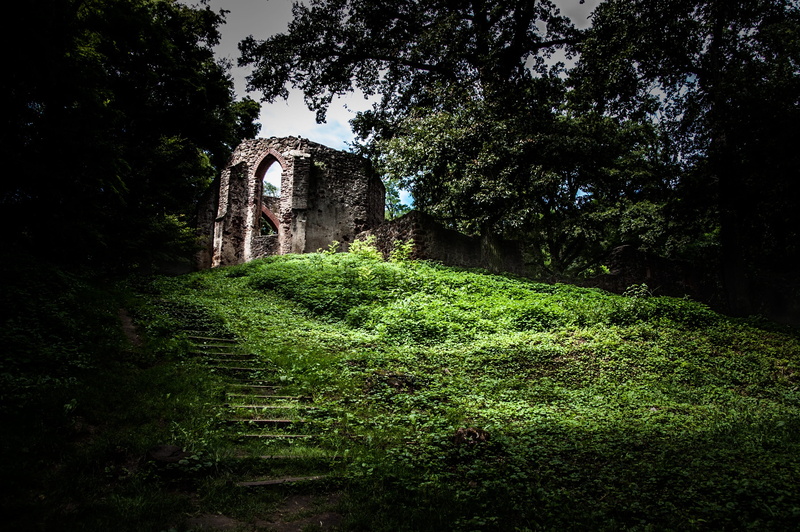 foliage, religion, building, the past, field, tree, stone staircase, historic, day, architecture, land, grass, trees, 2K, outdoors, monastery, uphill