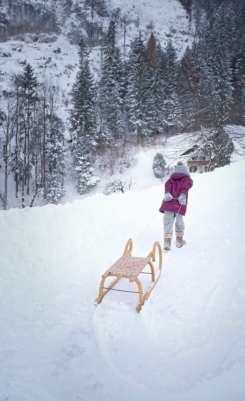 day, full length, uphill, lifestyles, beauty in nature, plant, cold temperature, leisure activity, human, nature, 1080P, tree, out, walk, person, sled