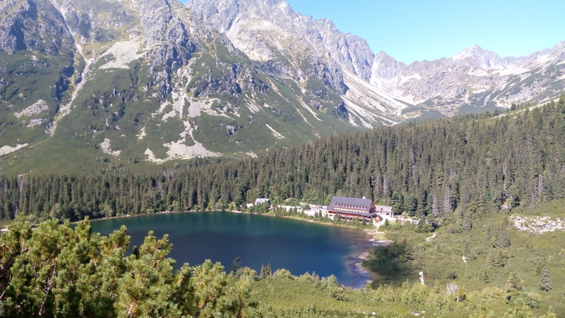 no people, outdoors, formation, holidays, tatry, green color, growth, holiday, water, coniferous tree, trees, 4K, tranquility, idyllic, day, scenics - nature