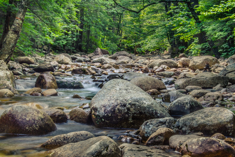 ground, non-urban scene, sun, scenics - nature, motion, plant, united states, light, flowing water, 4K, downhill, rock, tranquil scene, sunlight, solid