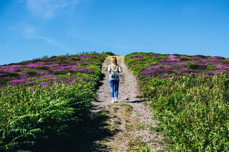 hill, leisure activity, nature, landscape, growth, 5K, beauty in nature, standing, backpack, day, flowers, flower, blond hair, scenic, lavander, field