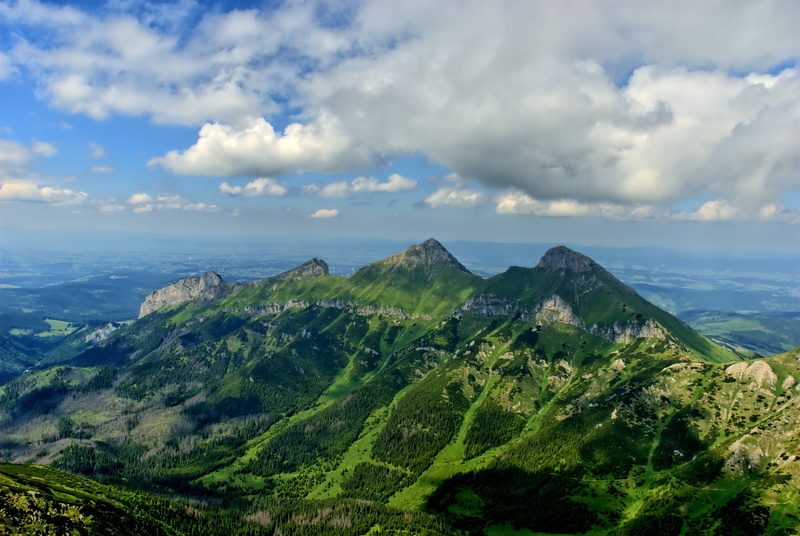 environment, mountain peak, day, scenics, top view, mountain, tree, outdoors, mountains, green Color, idyllic, tatry, summer, lamb summit, 4K, nature