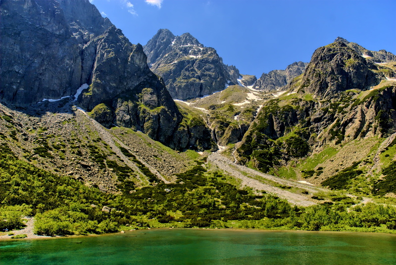 mountain, pine woodland, outdoors, european Alps, slovakia, environment, pine tree, beauty in nature, non-urban scene, landscape, mountain peak, tranquil scene