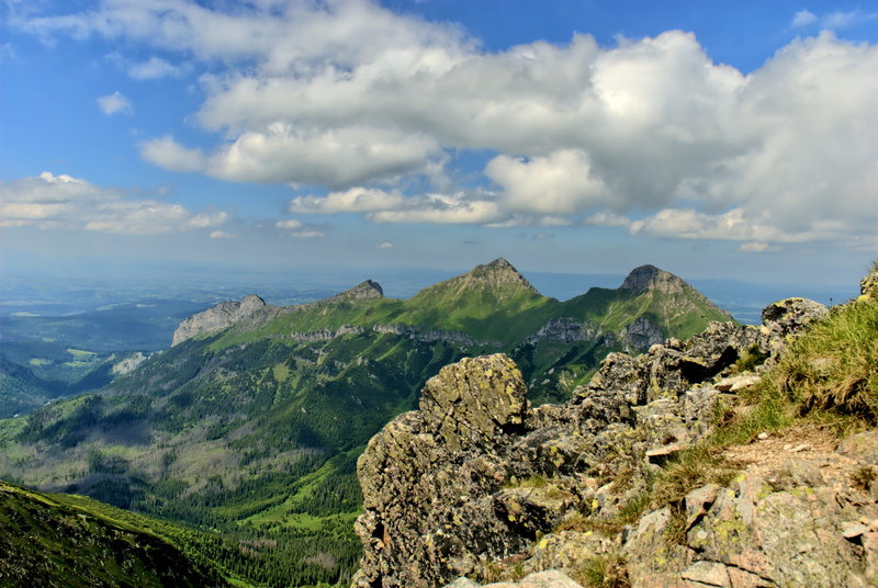 tatry, scenics - nature, 4K, tree, rock, outdoors, tranquility, nature, top view, no people, view, day, green color, slovakia, mountain peak, beauty in nature