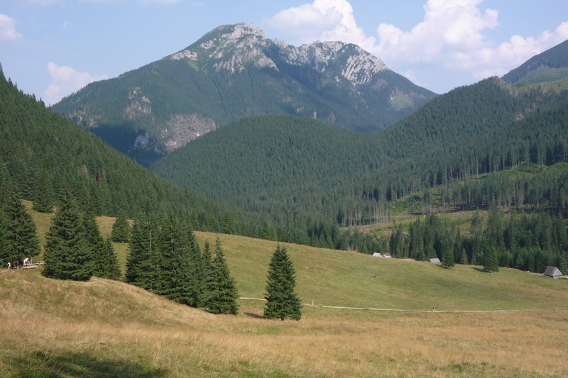 mountain range, no people, 2K, view, non-urban scene, tree, hiking trails, plant, remote, landscape, mountain peak, sky, green color, environment, tranquility