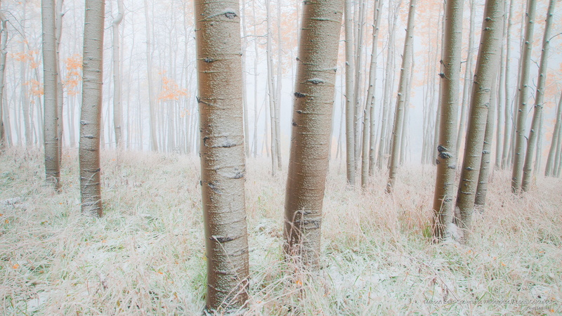 snowmass, colorado, aspen, 2K, wilderness, maroon, Winter, bells