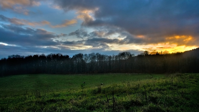 plant, green, outdoors, clouds, 1080P, Poland, land, beauty in nature, scenics - nature, sky, green color, tree, no people, non-urban scene, grass, environment