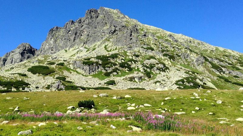 flowering plant, the high tatras, solid, clear sky, mountain range, sky, tourism, mountains, land, tranquility, the beauty of the mountains, mountain, environment