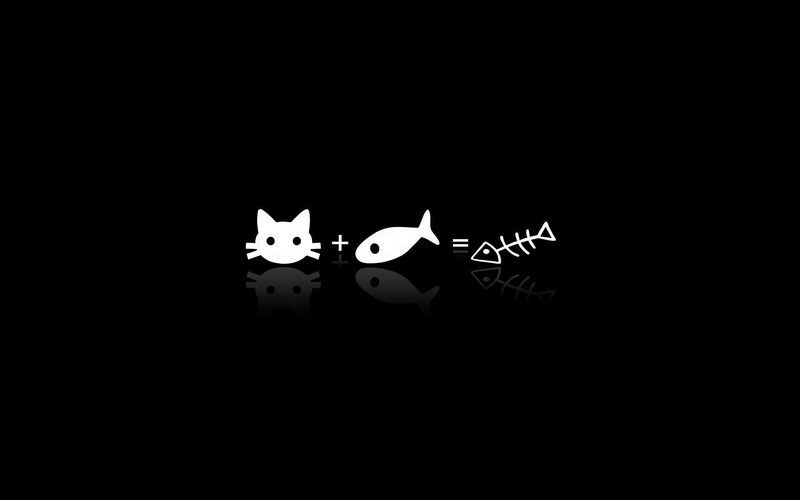 funny, fish, illustration, 1920x1200, 1080P, cat, humor