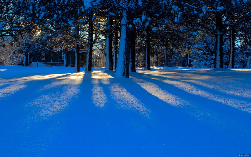 blue, white color, loaf, snow, hd, cold temperature, wooden, land, scenics - nature, day, outdoors, house, winter, treelined, brown, tranquility, no people
