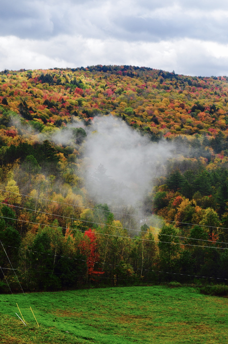 smoke - physical structure, waterbury dam, cloud - sky, land, red, fog, scenics - nature, pollution, united states, tree, autumn, tranquil scene, power in nature