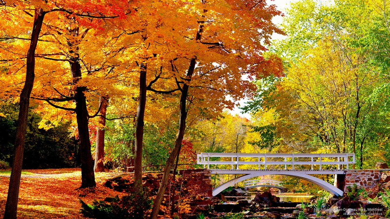 park, jean, drapeau, montreal, Fall, 2K, foliage