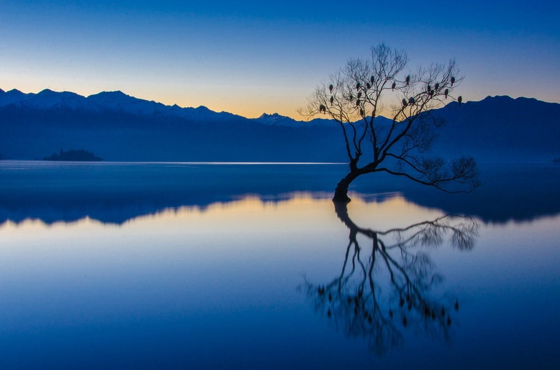 tree, tranquility, birds, scenics - nature, trees, mountain range, cloud - sky, tranquil scene, calm, blue, mountain, New Zealand, sky, landscape, environment