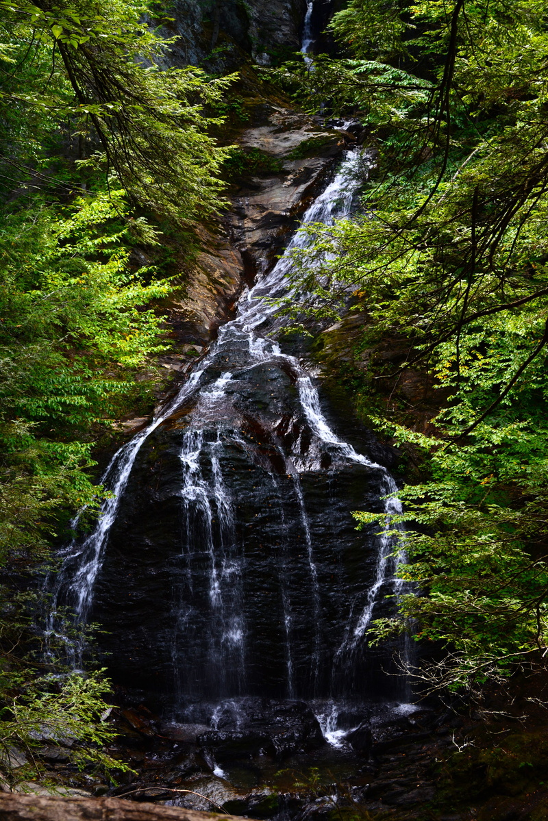 flowing water, day, land, beauty in nature, power in nature, 4K, motion, long exposure, nature, rock, plant, forest, stream - flowing water, water, tree