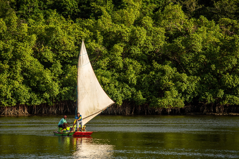 people, travel, waterfront, green color, watercraft, sailboat, lake, 5K, group of people, daylight, nature, paradise, trees, water, mode of transportation
