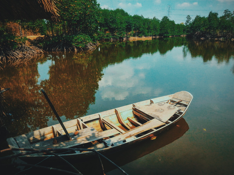 scenics - nature, trees, sail, tranquility, brown, river, fishing boat, woods, water, day, transportation system, outdoors, nautical vessel, watercraft