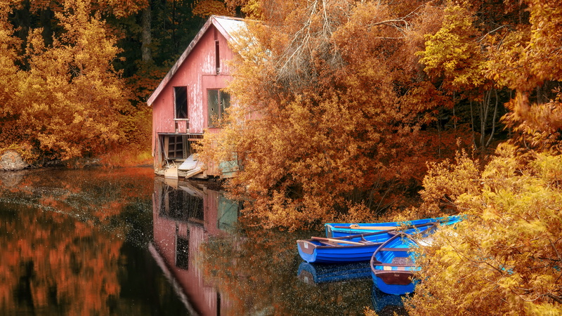 day, outdoors, built structure, reflection, lake, architecture, change, water, growth, leaf, nature, 8K, autumn collection, autumn, beauty in nature, plant