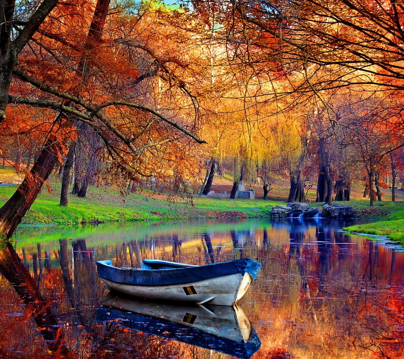 orange color, rowboat, tranquil scene, water, beauty in nature, transportation, change, scenics - nature, lake, nature, reflection, plant, autumn, tree