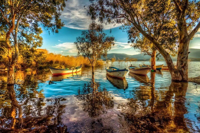 mode of transportation, tree, water, tranquility, transportation, nature, beauty in nature, nautical vessel, change, reflection, sky, rowboat, scenics - nature