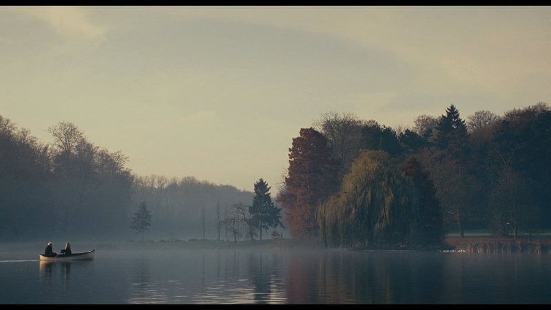 movies, tree, beauty in nature, fog, day, scenics - nature, nature, auto post production filter, green, mode of transportation, tranquility, nautical vessel