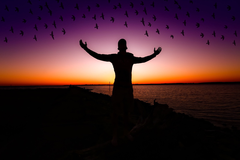 dawn, nature, human arm, arms raised, scenics - nature, landscape, limb, 2K, land, human limb, dusk, people, arms outstretched, silhouette, sea, sky, outdoors